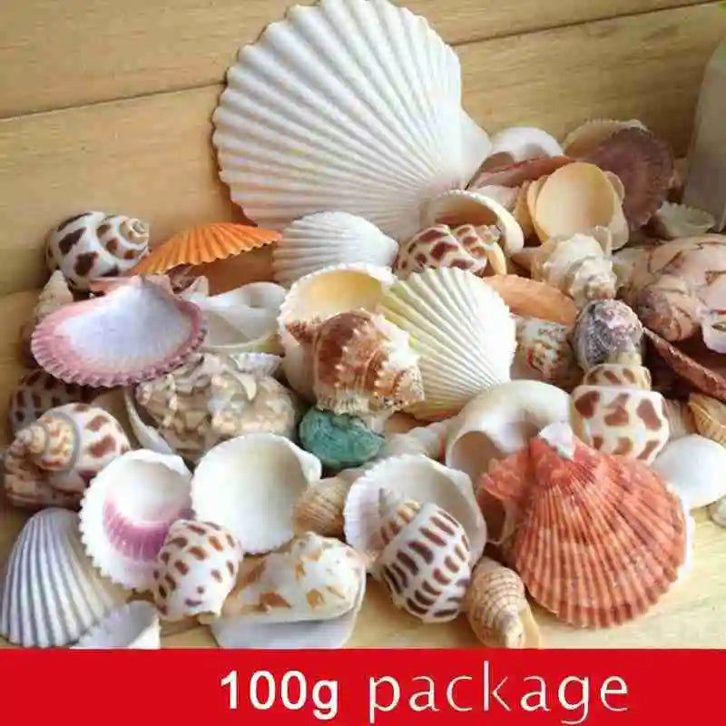 100g Mixed Sea Beach Shells Crafts Seashells Aquarium Decor Photo Props shell coquillage home decoration accessories